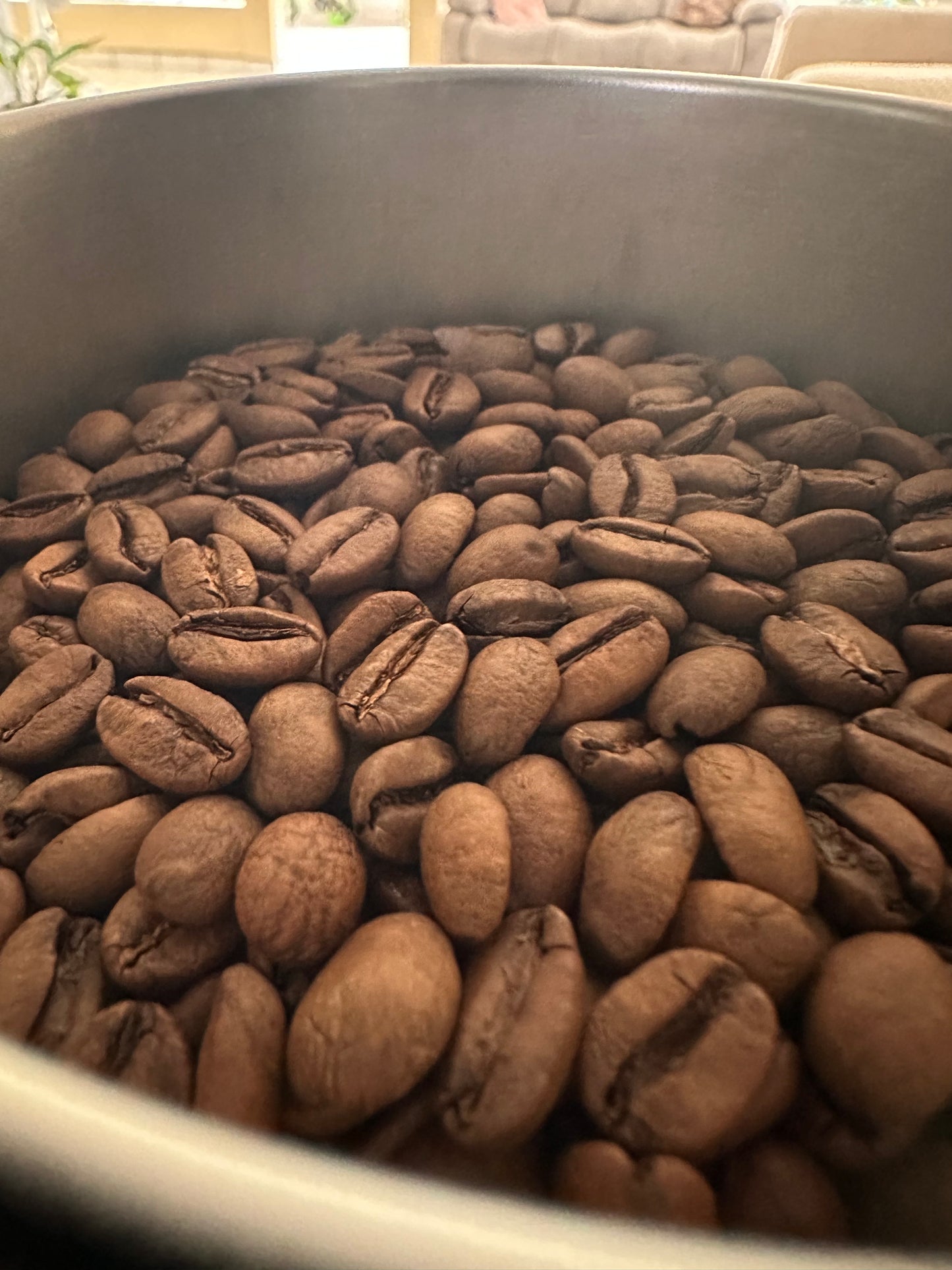 PANAMA GEISHA - PROCESO NATURAL