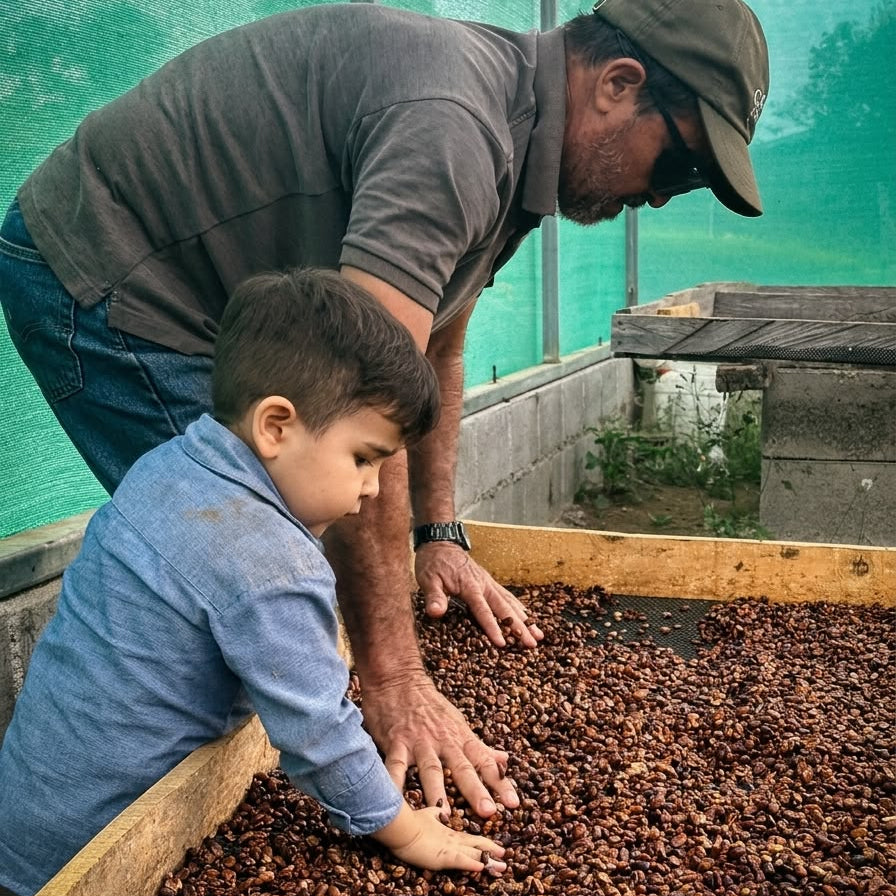 Segunda y cuarta generación